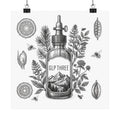 GLP Three Botanical Illustration Poster