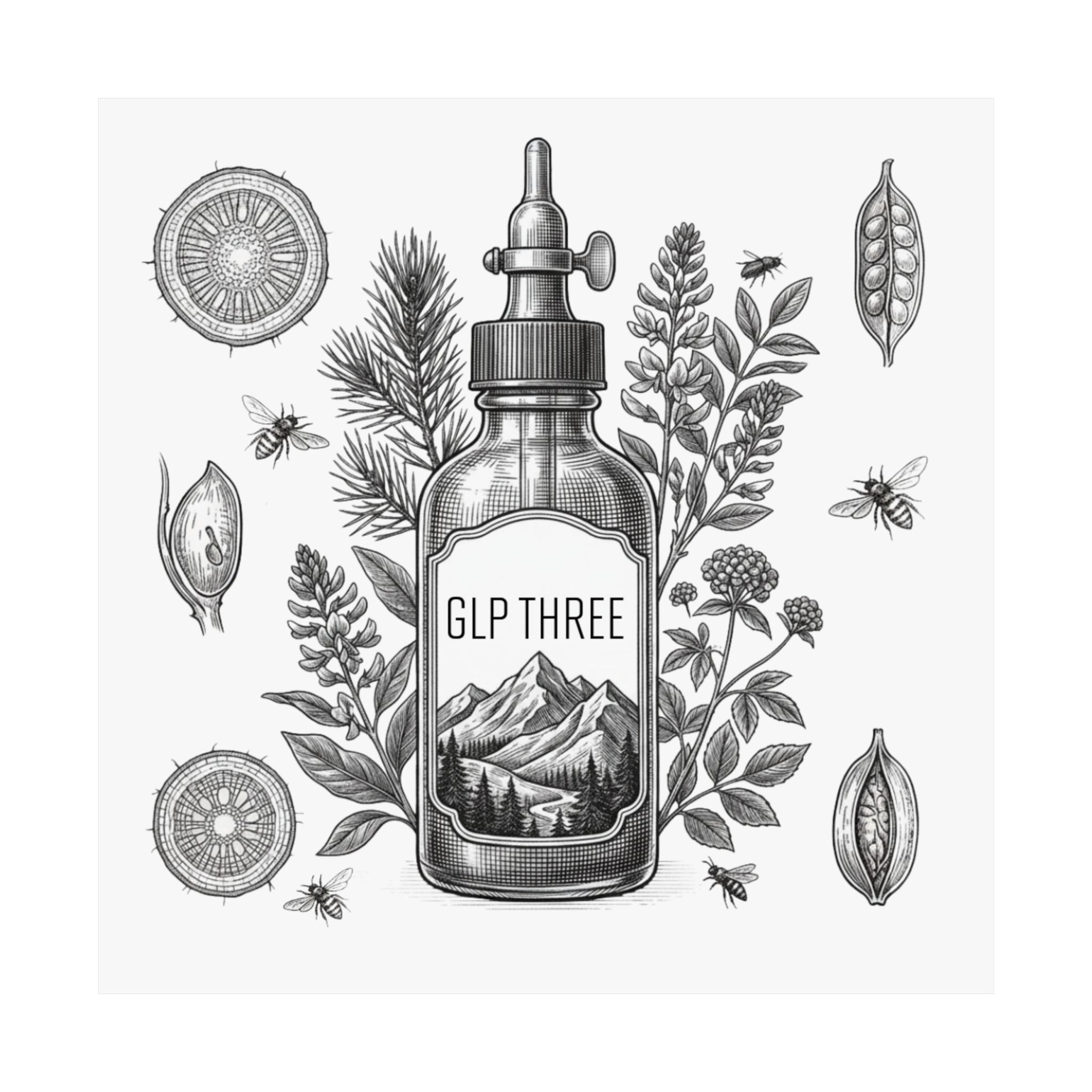 GLP Three Botanical Illustration Poster
