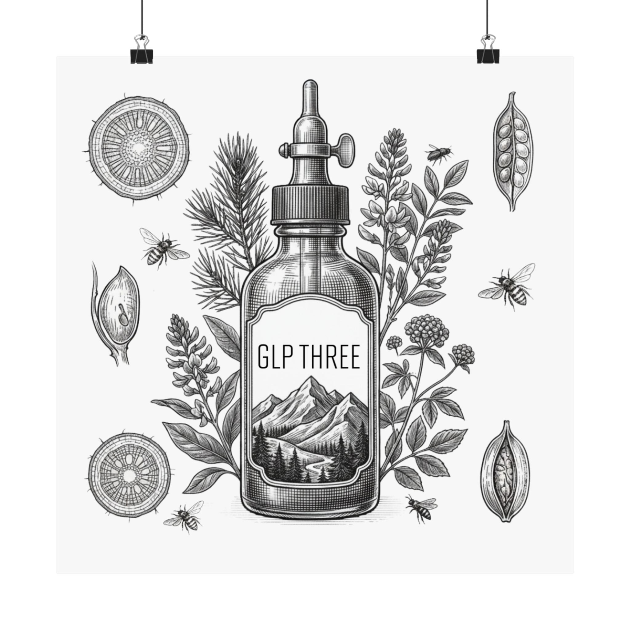 GLP Three Botanical Illustration Poster